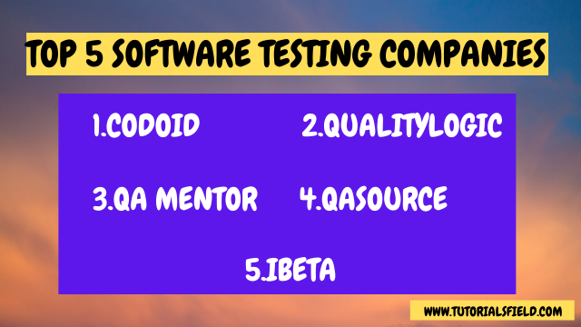 Top 5 Software Testing Companies