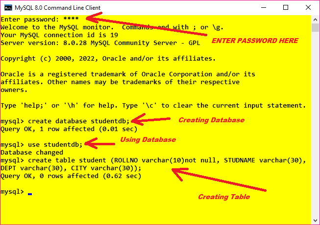 Connect MySQL to NetBeans